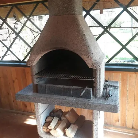 Midiola Vendeghaz *