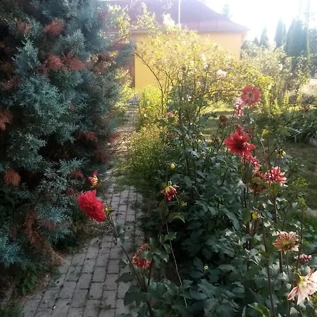 Midiola Vendeghaz Holiday home