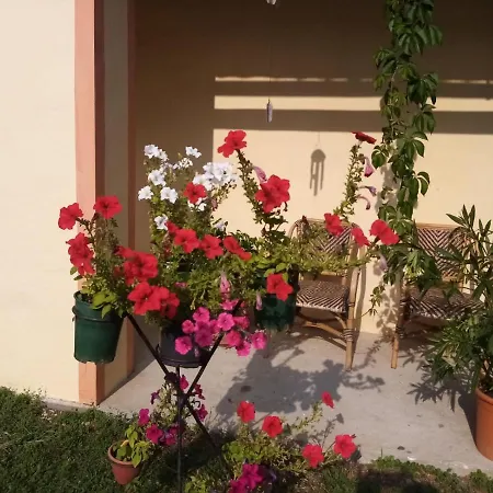 Midiola Vendeghaz *
