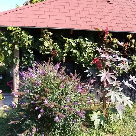 Holiday home Midiola Vendeghaz