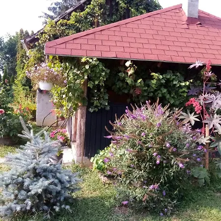 Midiola Vendeghaz *