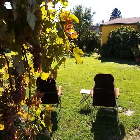 Midiola Vendeghaz Holiday home