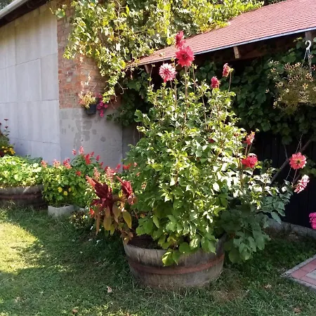 Midiola Vendeghaz Holiday home *